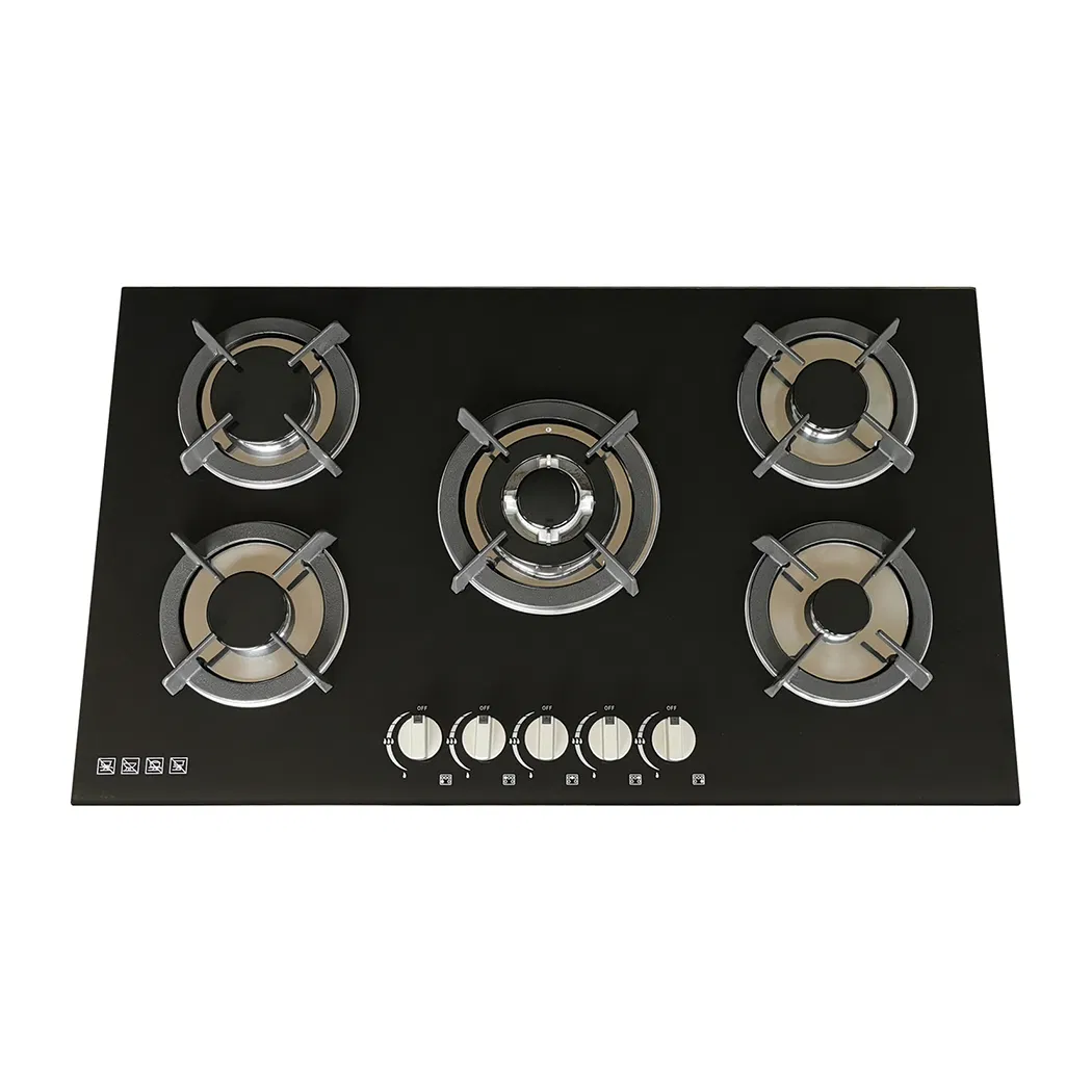 Factory Sale Black Temper Glass Gas Cooker 2 Burner Gas Hob Double Burner Built in Gas Stove
