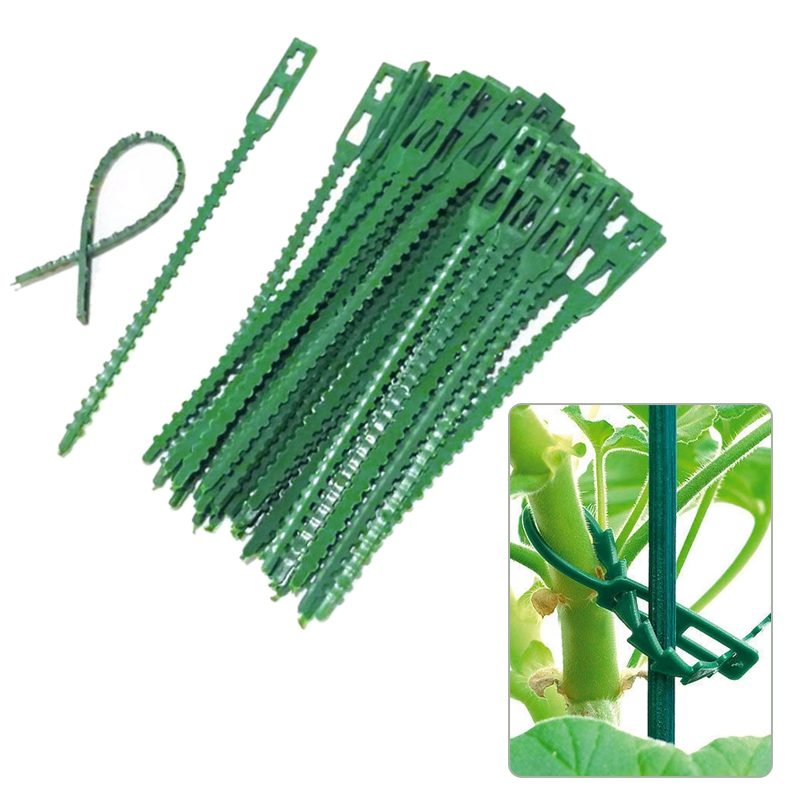 Self-Locking Plastic Tie Adjustable Plastic Plant Cable Tie Reusable Garden Cable Tie Plastic Zip Loop Wire Wrap 100/50/20/10PCS