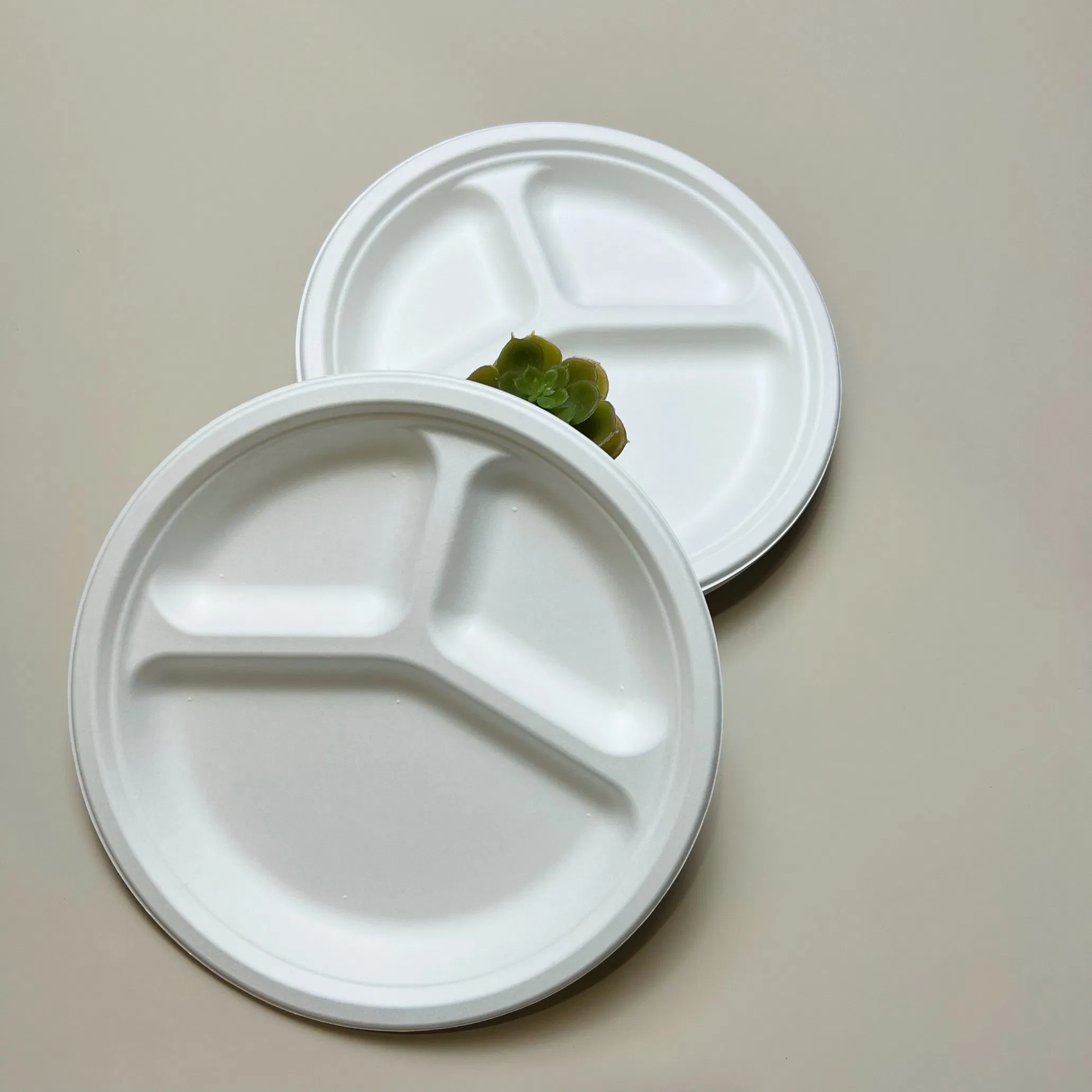 Biodegradable Sugarcane Bagasse Tableware Dish Carry-out Tableware Takeaway Compostable Sugarcane Food Container Pulp Fiber Round Disposable Paper Plate