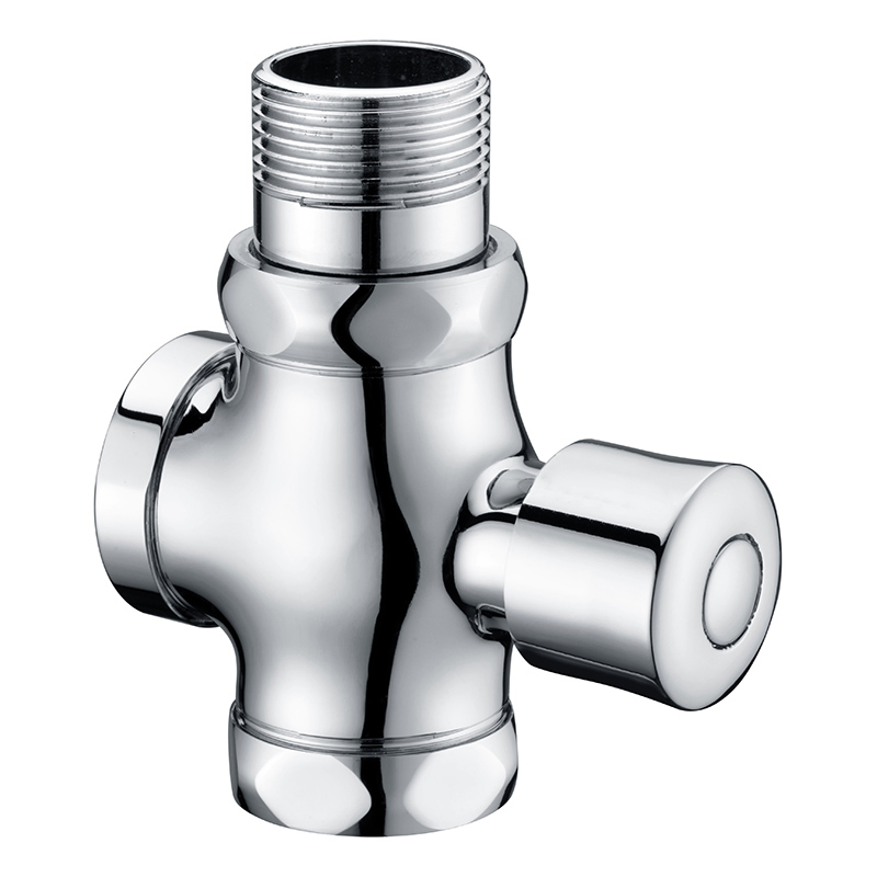 Time-Delayed Easy Use Flush Valve with Push Button