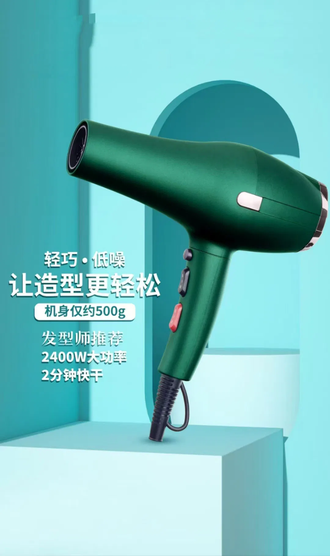 Professional 2400W High-Power Hairdressing Salon Hairdryer