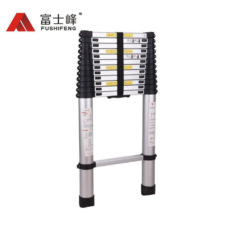 Aluminum Telescopic Ladder with 10 Steps