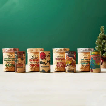 Modern Farmhouse Design Indoor Artificial Red Maple Bonsai Kit Simulation Flower Tree