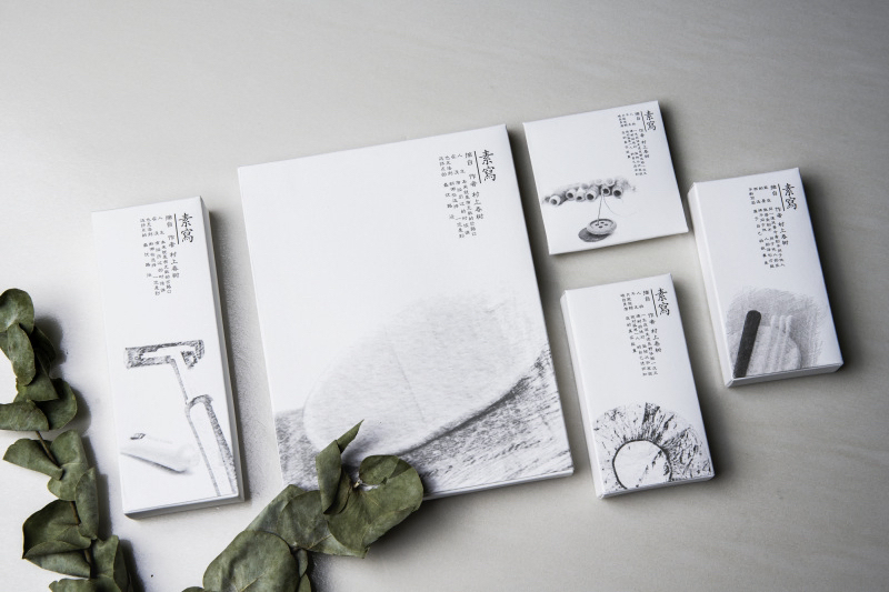 Biodegradable Hotel Toothbrushes/Eco-Friendly Hotel Amenities