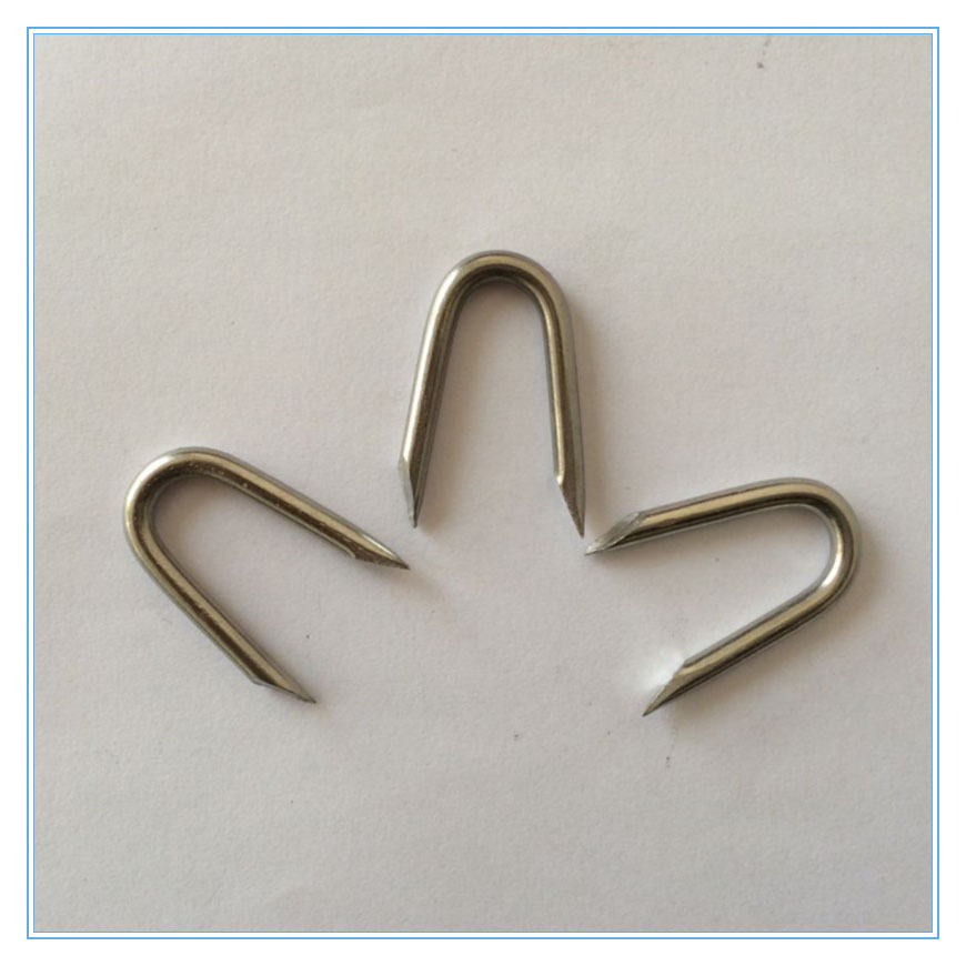 25mm Cut Point U Type Nail/U Fence Nail/U Nail