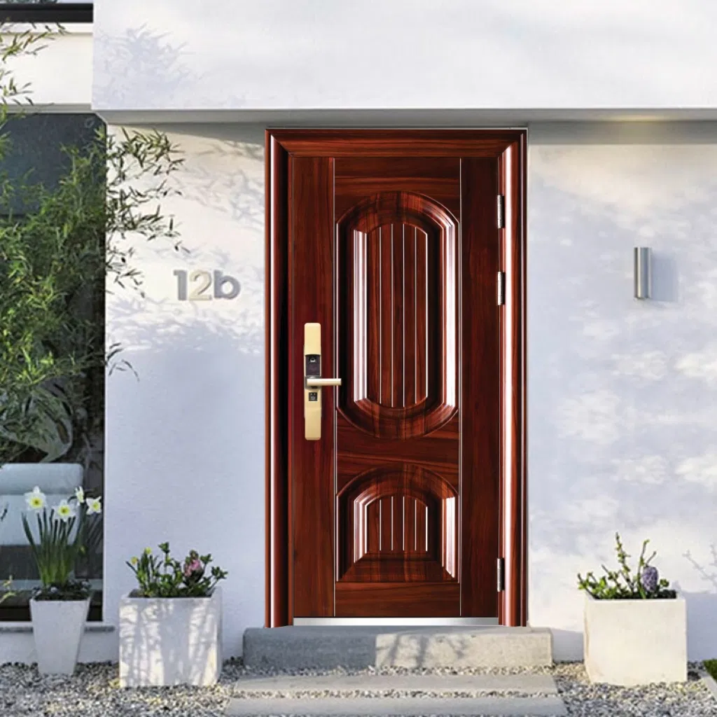 Стальная входная дверь безопасности TOF