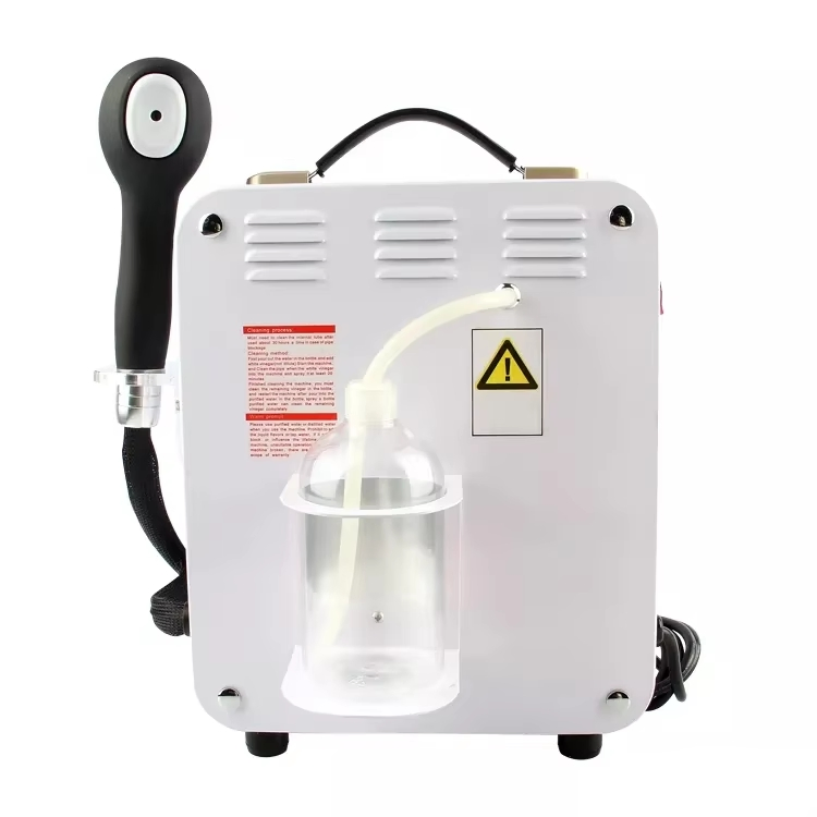 Professional Handheld Hair SPA Steamer for Face Nano Mist Sprayer Beauty Salon