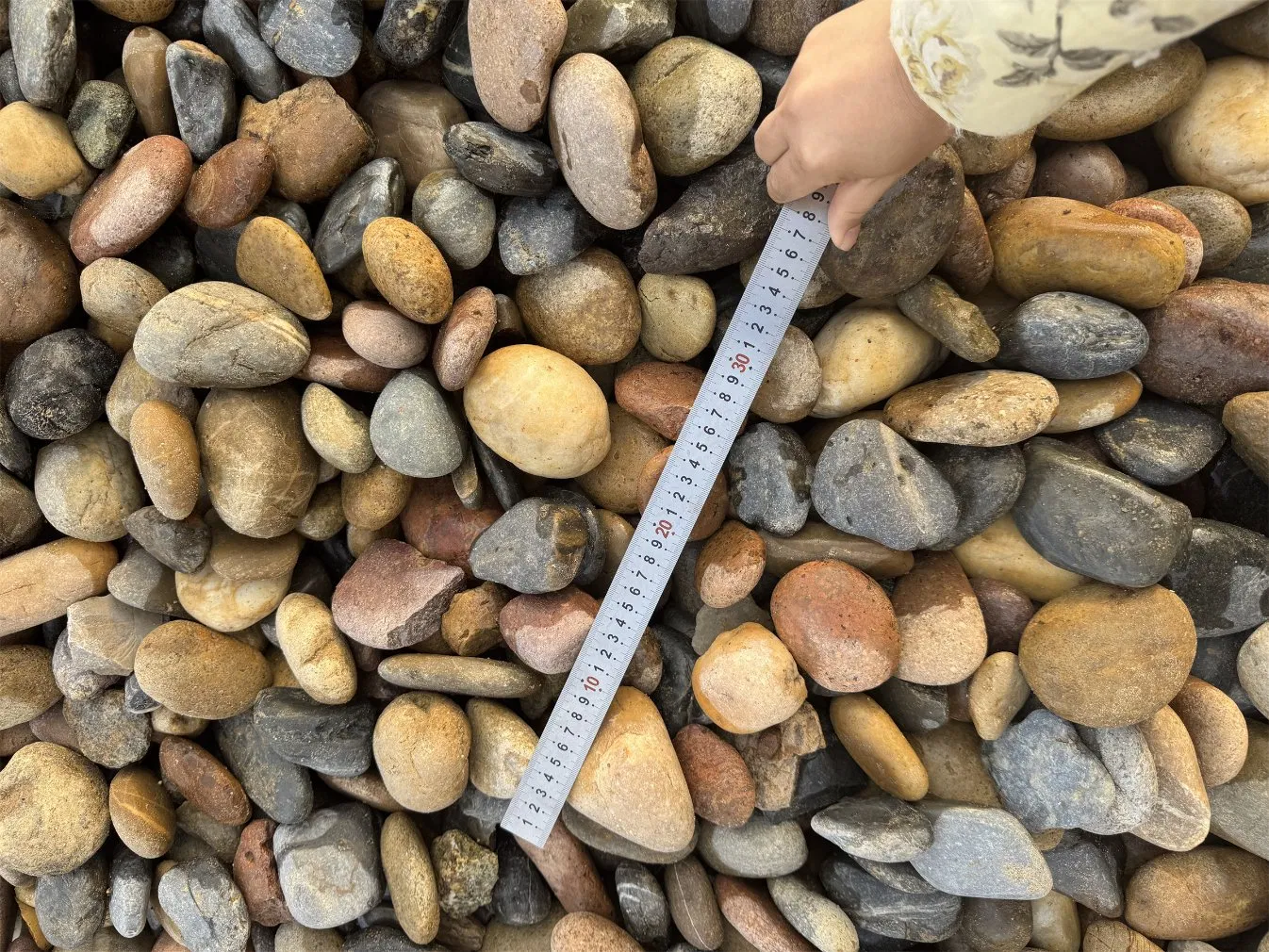 Mixed Colorful Natural Polished Pebble Garden Pebbles Stone for Landscaping Paving Flooring
