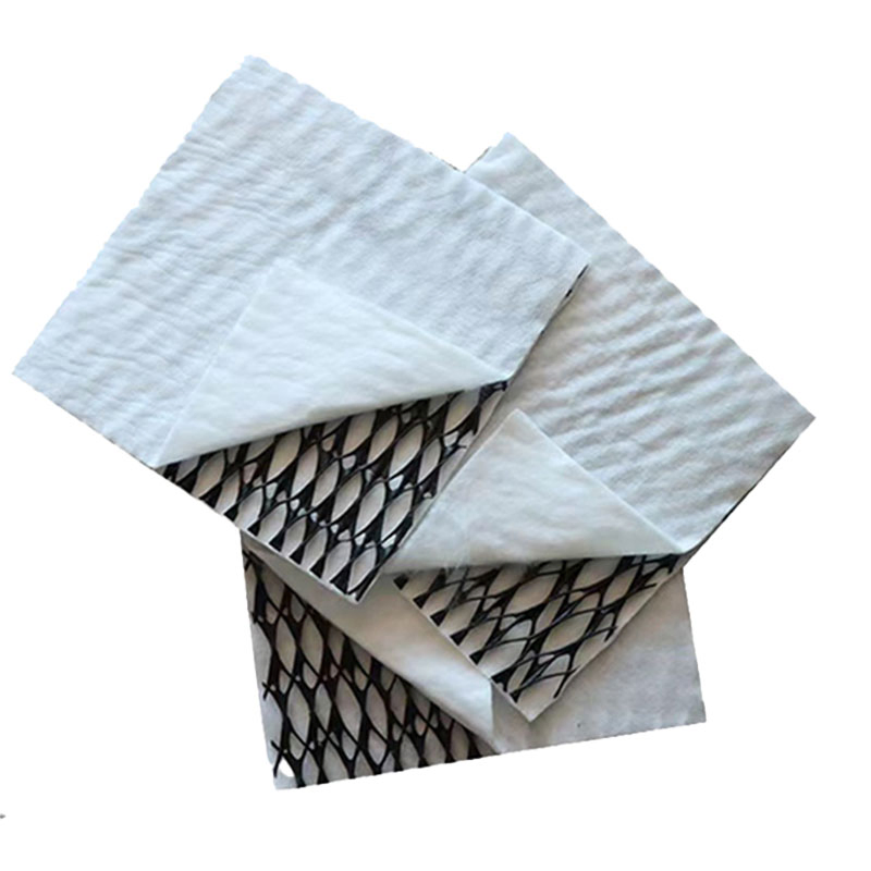 Road Construction 3D Geotextile Composites Drainage Geonet Highway Slope Protection