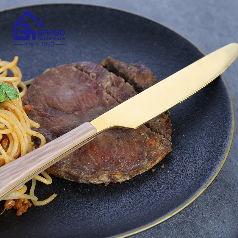 Electroplating Customized Logo Mirror Polish 410ss Dinner Knife with ABS Plastic Handle
