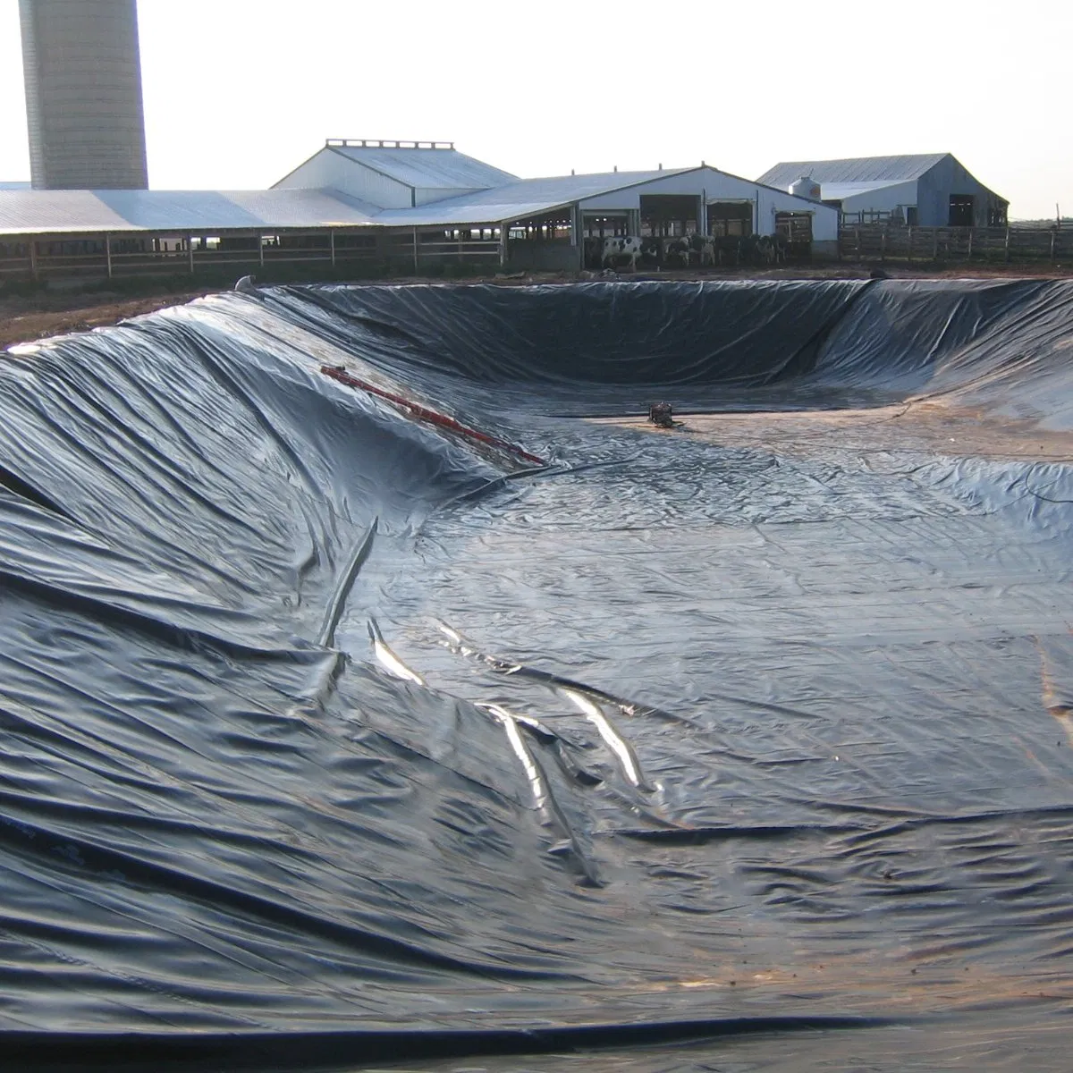 PP Geomembrane for Construction Site, Protecting Soil Landfills Water Pond and Dam Liner