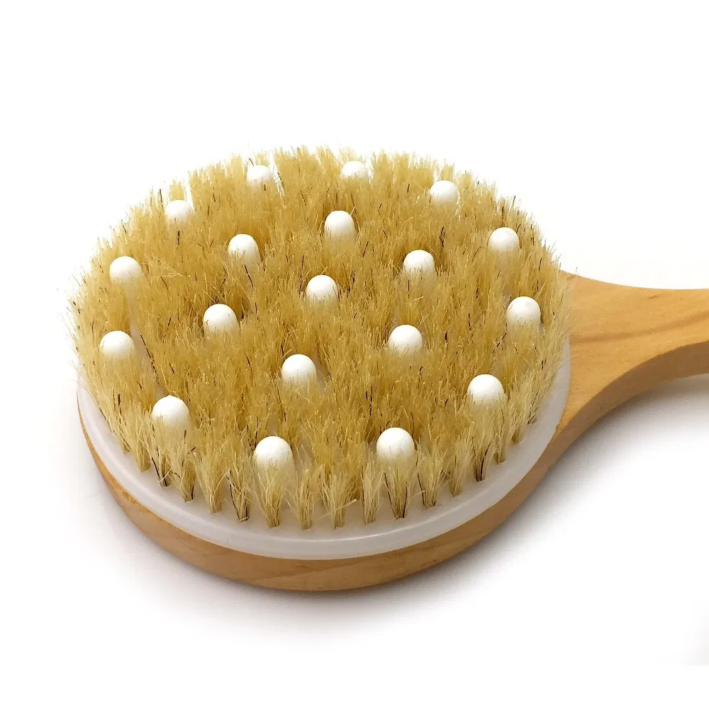 Premium Wooden Long Handle Body Scrubber Dry Bath Brush with Massage Heads for Back Scrubber and Massage