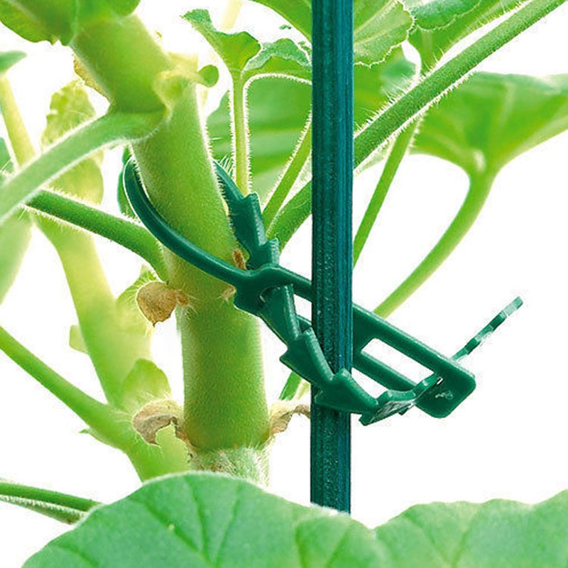 30/50/100/200PCS Reusable Garden Cable Ties Plant Support Shrubs Fastener Tree Locking Nylon Adjustable Plastic Cable Ties