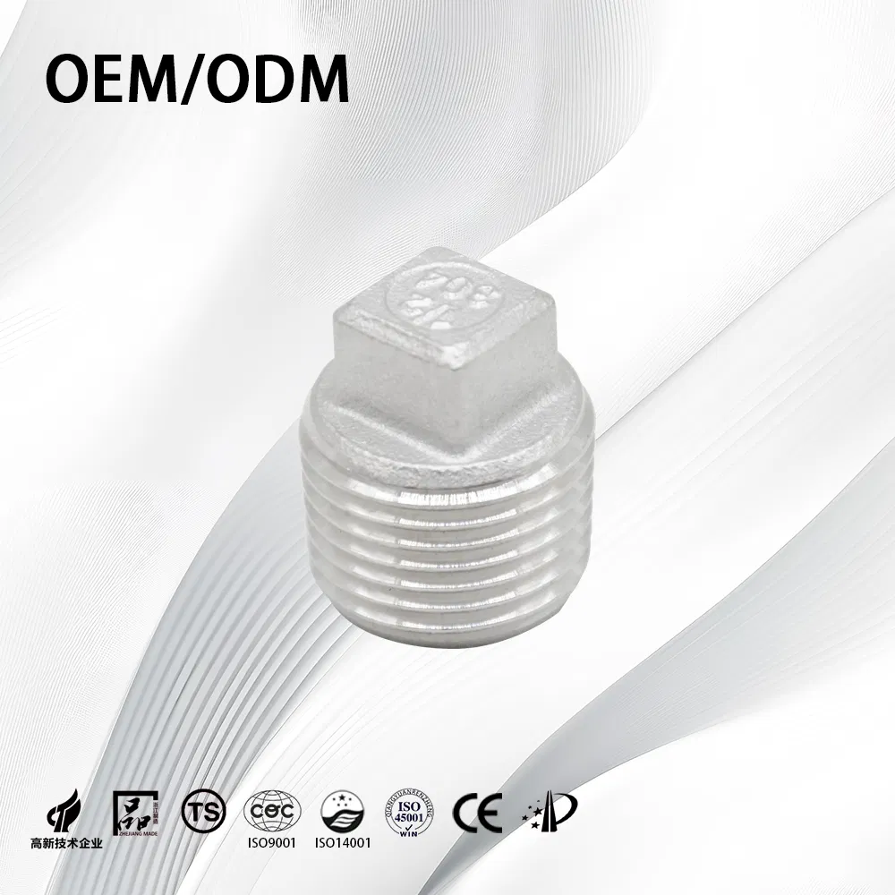 Stainless Steel/Carbon/Sanitary/Customize/Nipple Connector Threaded/Pipe Fittings/Plumbing/Tube/End Plug with Fitting Accessories
