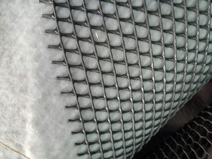 PP/Pet Composite Geotextile Woven Geogrid Building Material Drainage Geonet with Good Price