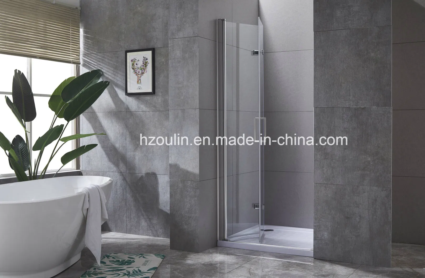 Shower Enclosure Door with Hinges