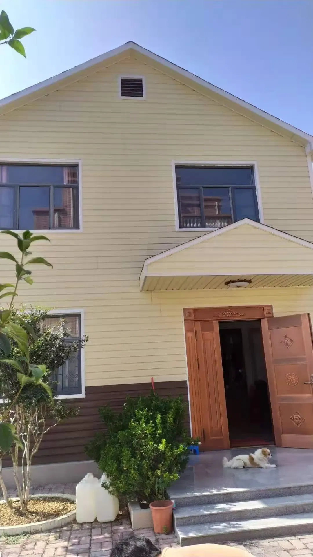 Exterior Wall Decoration PVC Wall Panel for Villa House Decoration