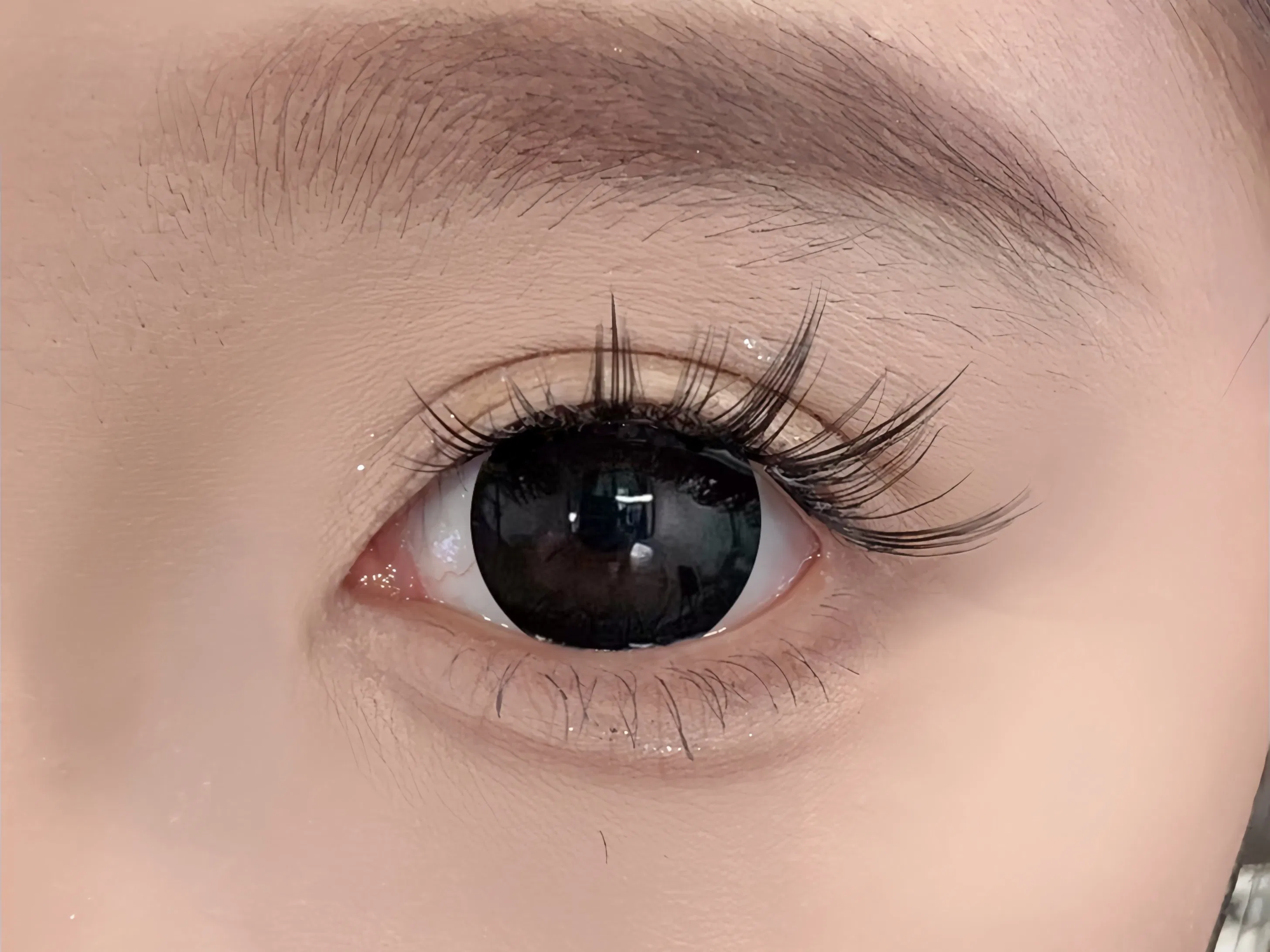Stunning Colored Contact Lenses for Unique Eye Styles