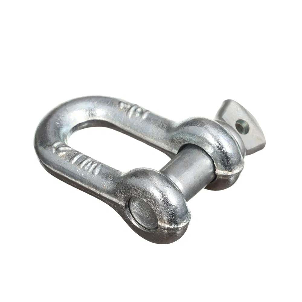 Lifting and Connecting Wire Rope Fittings Chain Fittings Marine Hardware Fittings Aluminium Stainless Steel D Ring Shackle