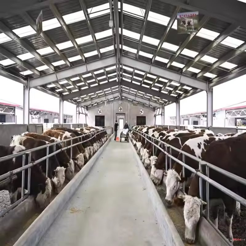 Prefab Steel Structure Poultry Farm Automatic Breeding Chicken Layer Battery Cage Light Cow Cattle Pig Barn Shed Welding Cutting