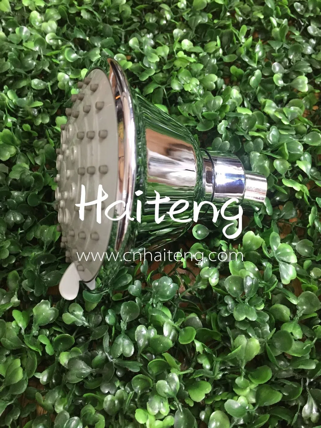 5 Function Rain Shower Rose