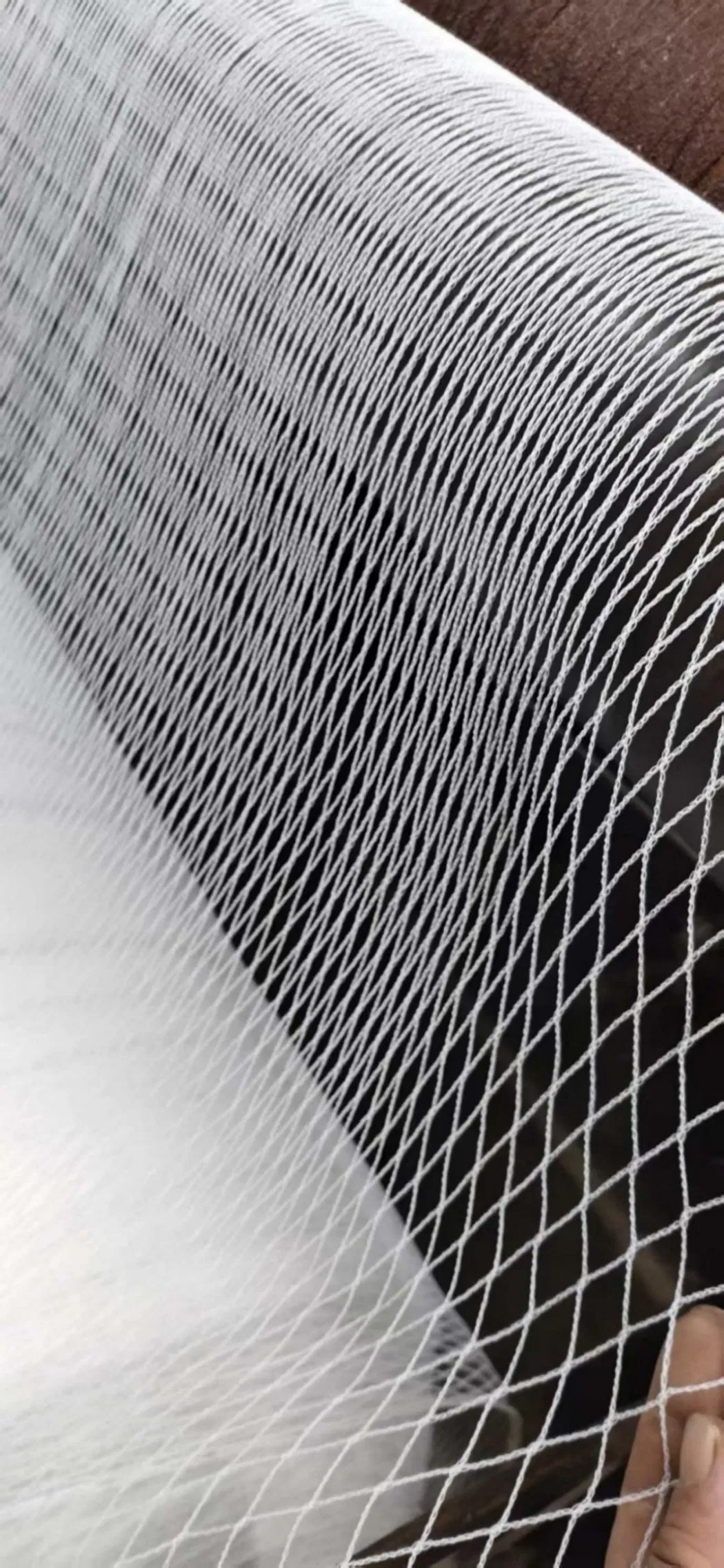 Corrosion-Resistant Resistant Durable Fruit Protection Orchard Bird Net