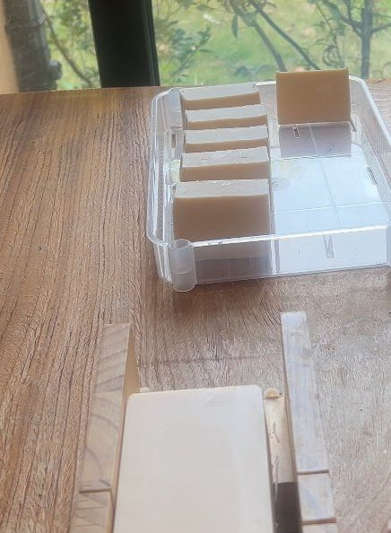 Customized 100% Natural Plant Compound Scented Shampoo Soap