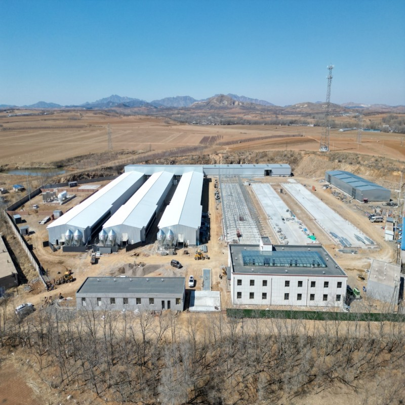 Prefabricated Galvanized Steel Structure Poultry Chicken House for Industrial Broiler Layer Farm Building System