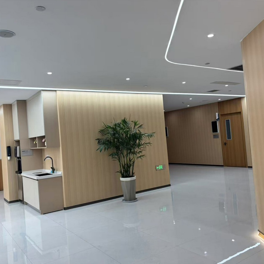 Chemical-Resistant Reliable Impact-Resistant Interior Wall Panel for Laboratories