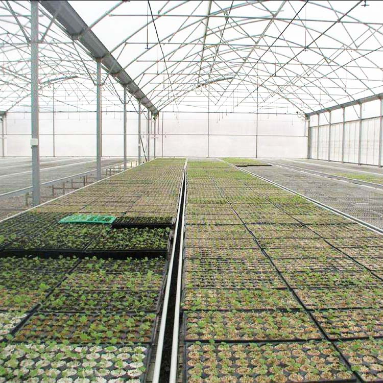Manufacture Hot DIP Galvanized Steel Garden Hydroponics Green House with Insulation System
