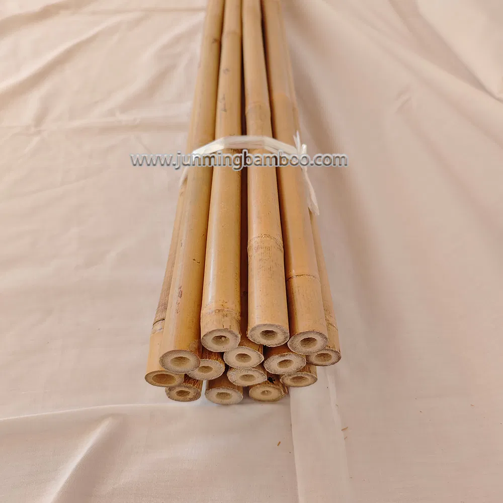 Tonkin Bamboo Cane Garden Stake Tsinglee Nature Raw Bamboo Poles Cheap Price Dia. 22/24mm X 300cm