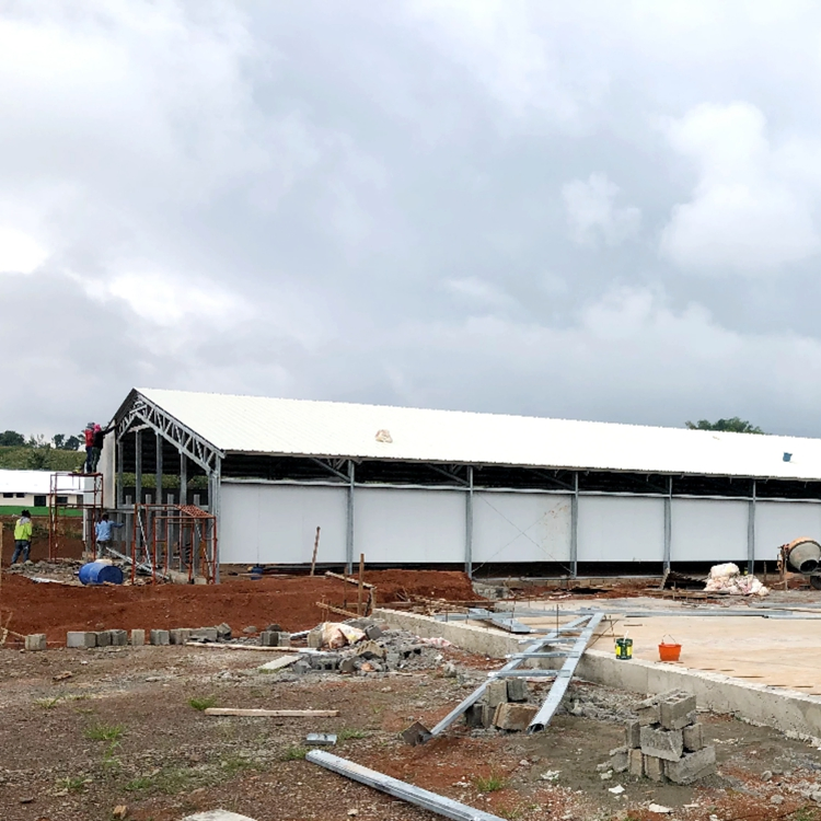 Industrial Steel Structure Design Poultry Farm Shed Poultry Farm Poultry House