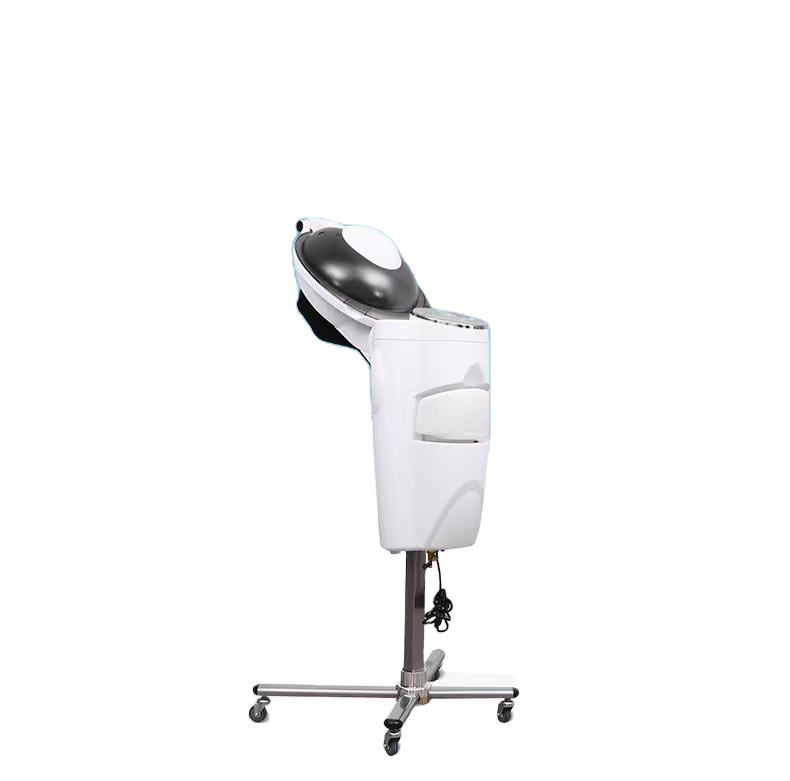 Premium Electric O3 Micro Mist Hair Steamer for Salon Use