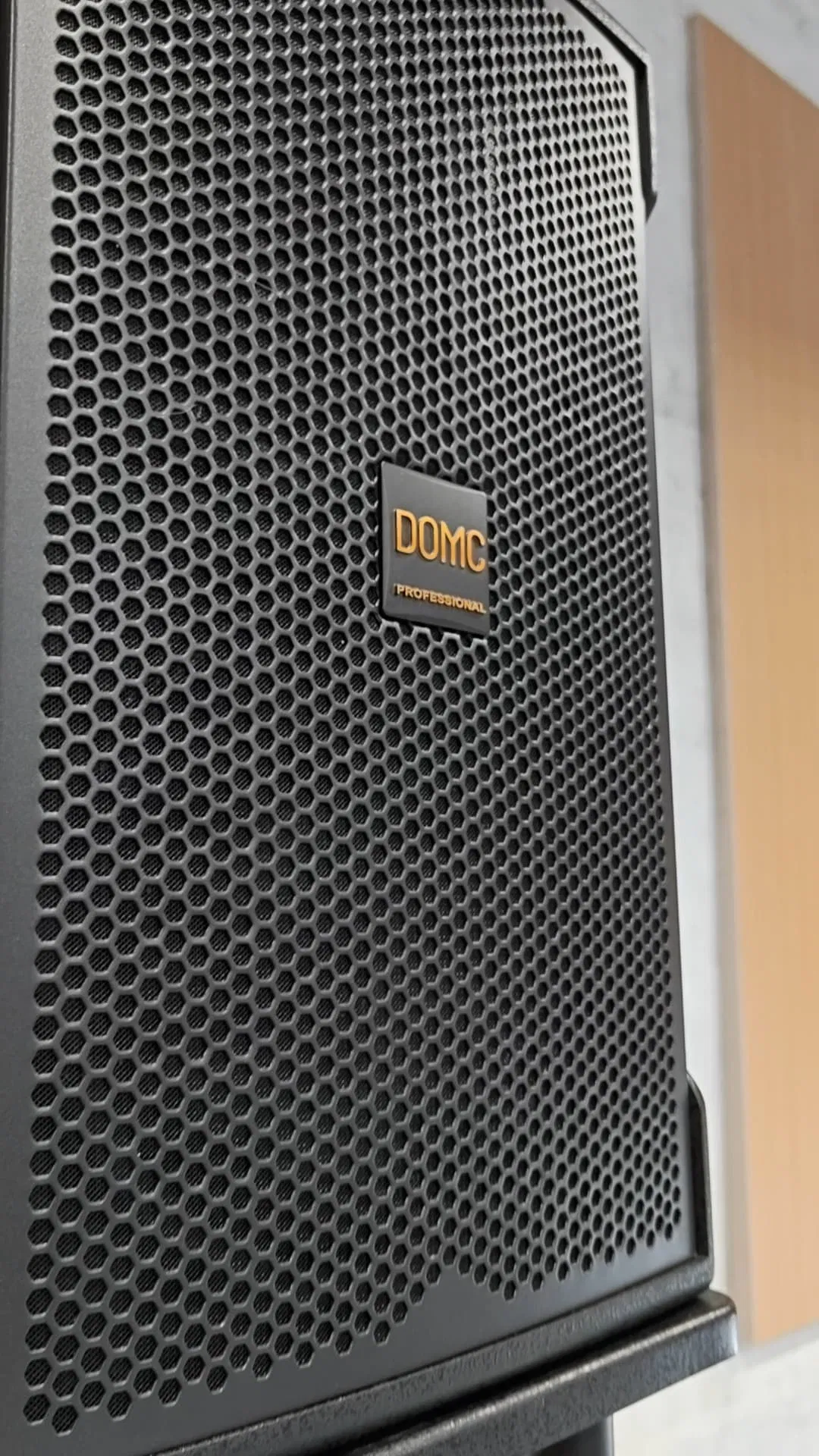 K210, 10-Inch Dual-Core Entertainment Speaker: 65mm Woofer + 34mm Tweeter, Full and Clear Vocals, Rear Port Design, Supports Multiple Mounting Options