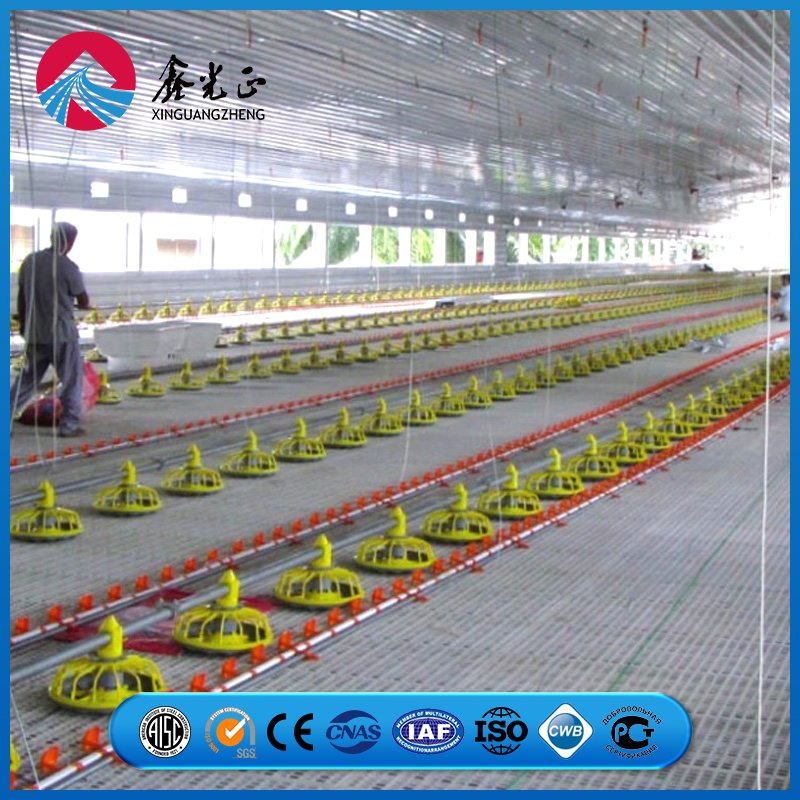 Truss Apex Reinforcement Plate Frame Chicken Prefab Metal Farming Equipment Steel Structure Sheep/Goat/Pig/Hog/Cattle/Cow/Poultry House/Shed