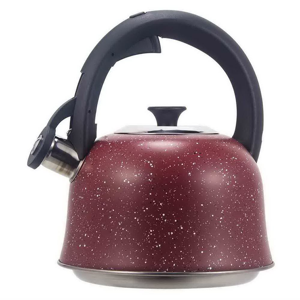 Чайник из нержавеющей стали 3 л с нейлоновой ручкой