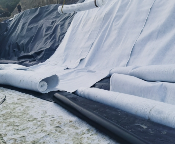 Double-Sides Coated Geotextile Drainage Net Price