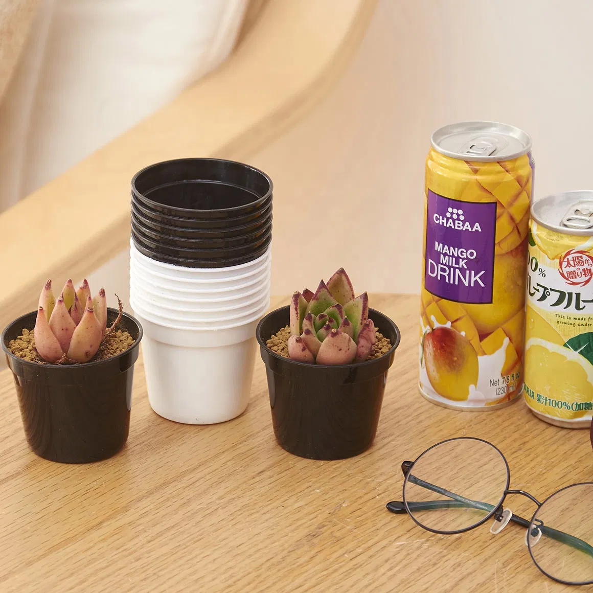 Горшки для рассады и суккулентов, 2.6 и 2.1 дюйма