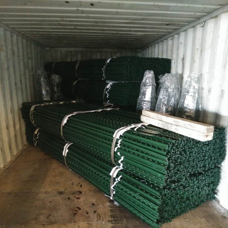 Hot Product Grassland Farm Used T Type T Posts for Euro Market