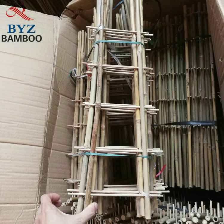 Bamboo Plant Fan Trellis H85cm