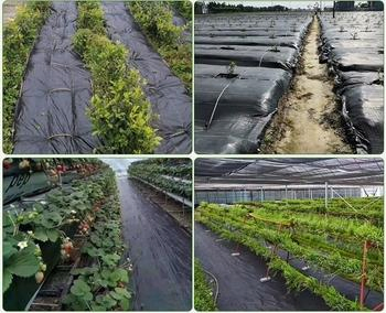 Hesheng China Factory Wholesale Weed Barrier Mat Ground Cover for Sale