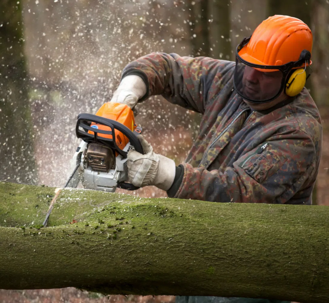 Professional Gas Powered 2 Cylinder 62cc 2.4kw Powerful Chainsaw