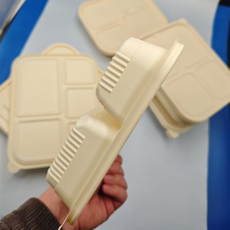 PLA Disposable Food Tray with Compartments