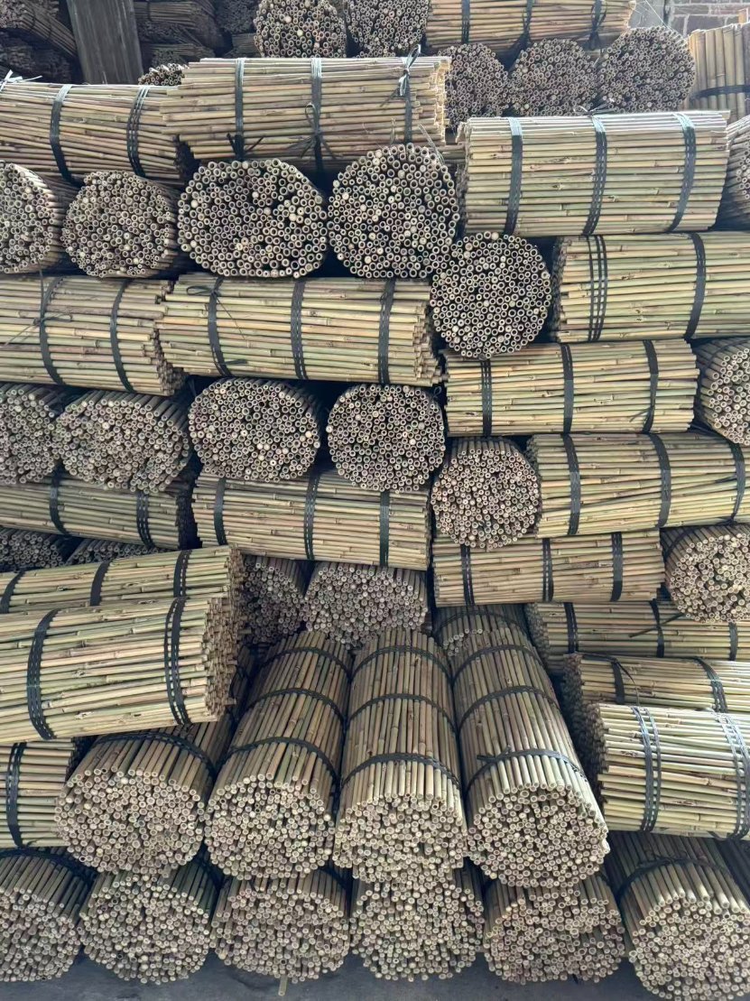 Tonkin Bamboo Pole Stake Stick Cane Products Flowersticks Bamboo for Plant Support I