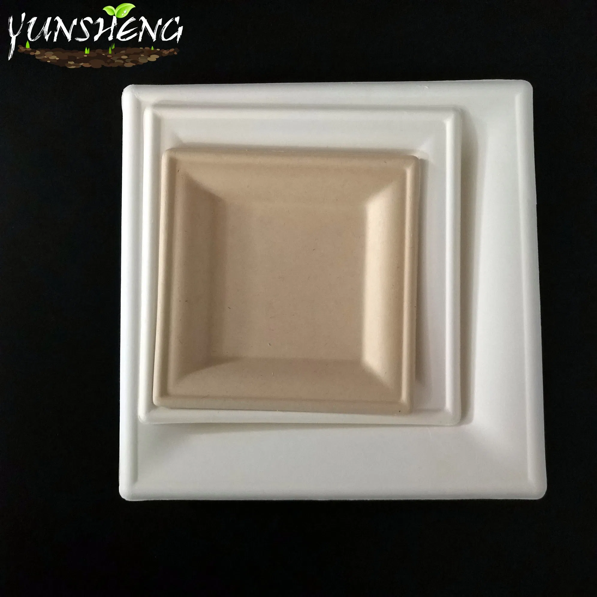 Disposable Manufactural Bagasse Pulp or Bamboo Fiber Paper Customized Square Plate for Delicious Cooking