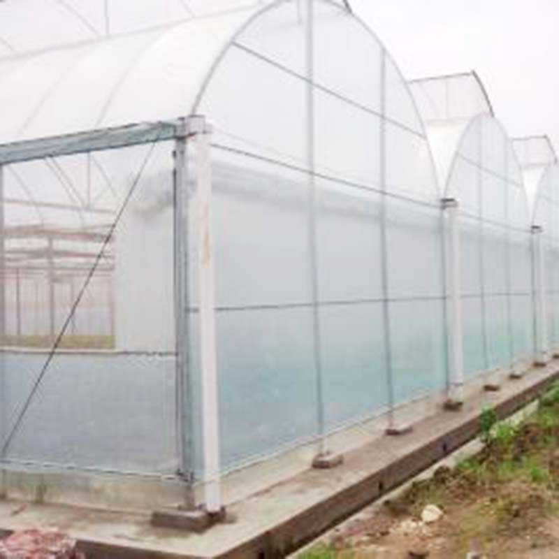 Structural Roofing Xinhe Standard Packing Container Customized Polycarbonate Multi-Span Greenhouse