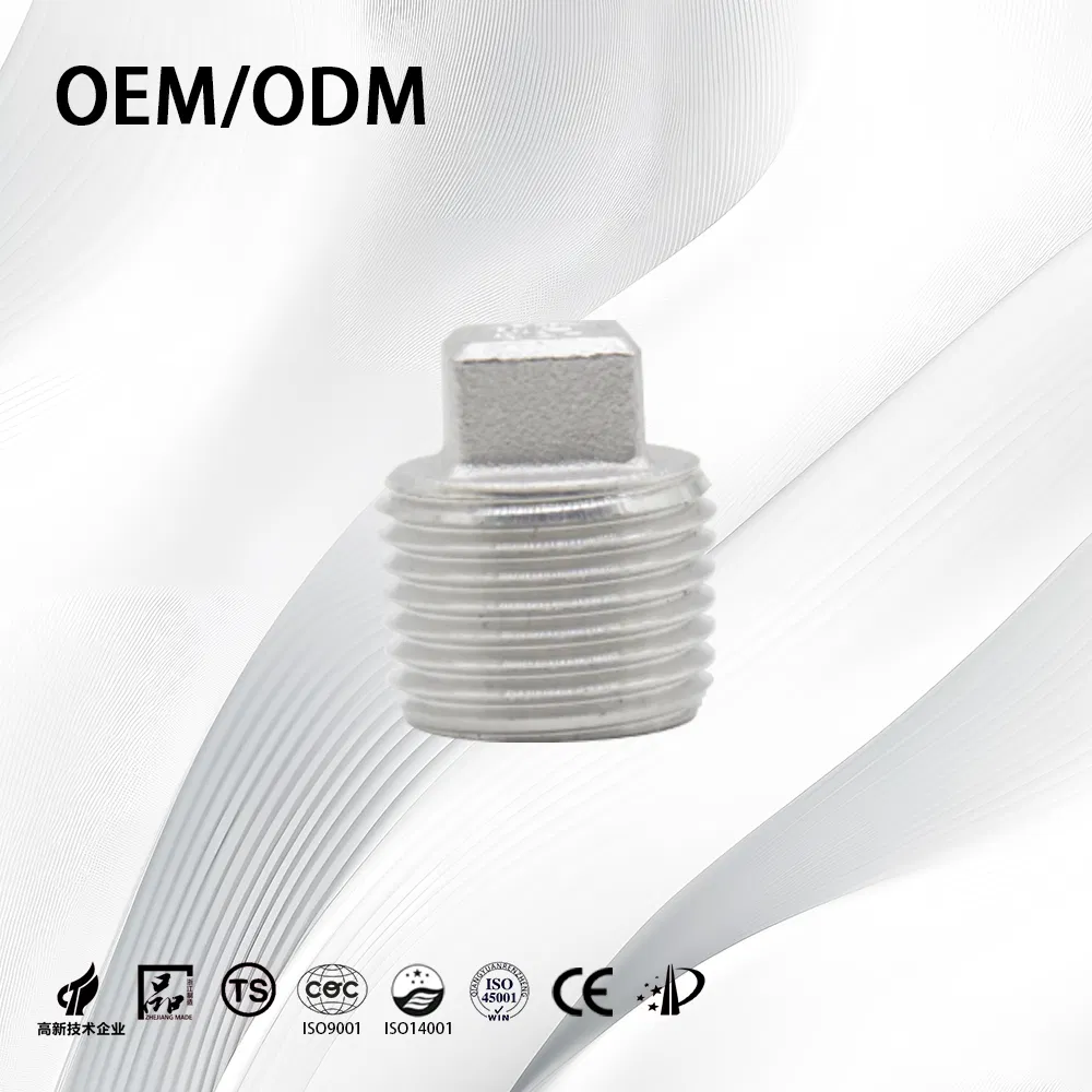 Stainless Steel Industrial Customize Anti-Corrosion End Plug with Square Head