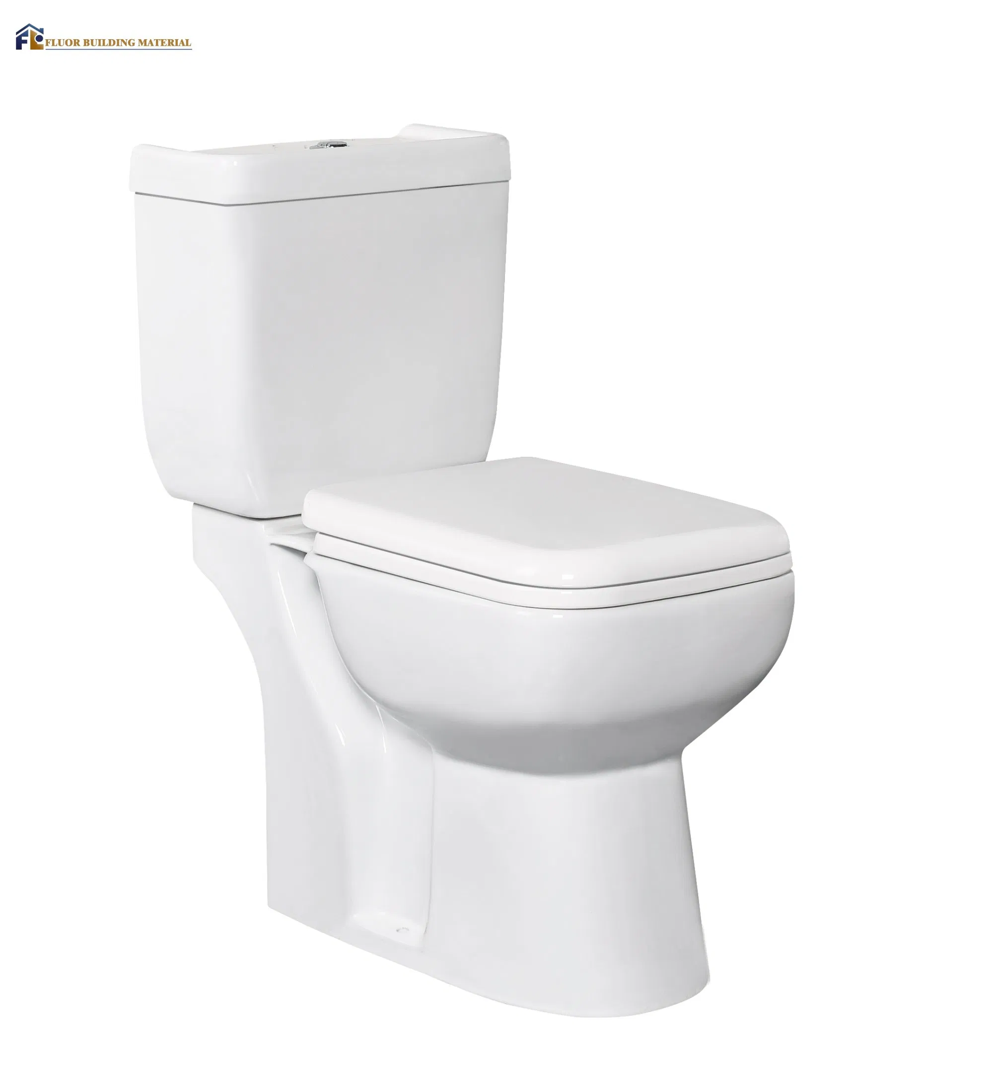 Premium Fluor Toilet and Bidet Combo for Stylish Restrooms