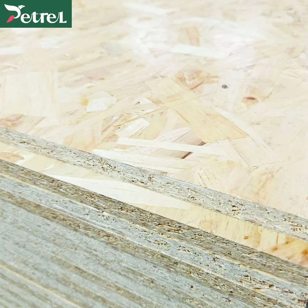 Sustainable Premium OSB Board for Stylish Home Interiors