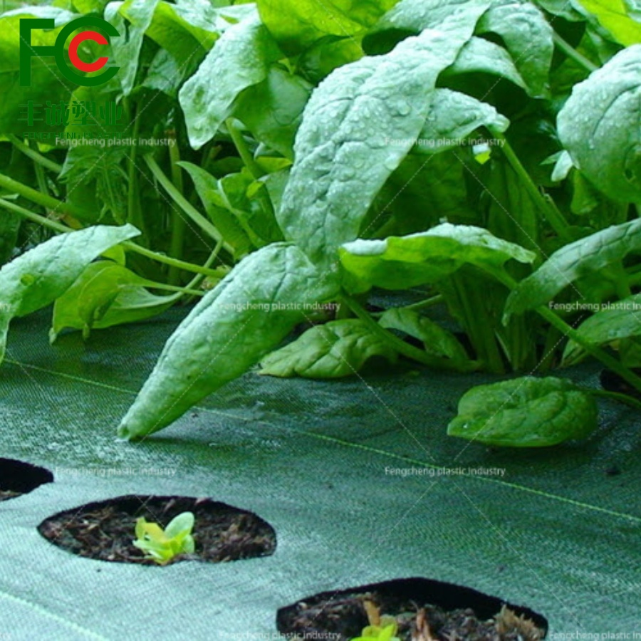 Green Weed Mat Geotextile for Enhanced Ground Cover and Weed Protection